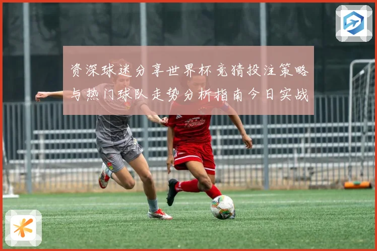 资深球迷分享世界杯竞猜投注策略与热门球队走势分析指南今日实战