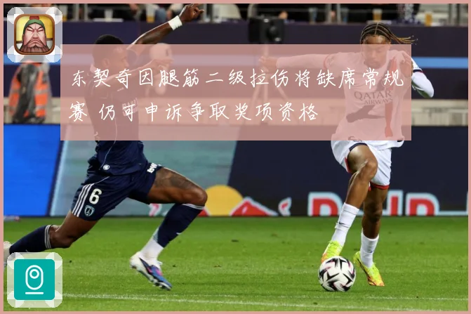 东契奇因腿筋二级拉伤将缺席常规赛 仍可申诉争取奖项资格
