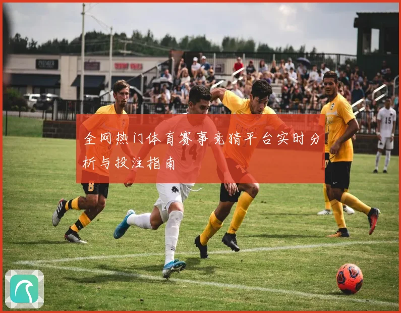 全网热门体育赛事竞猜平台实时分析与投注指南