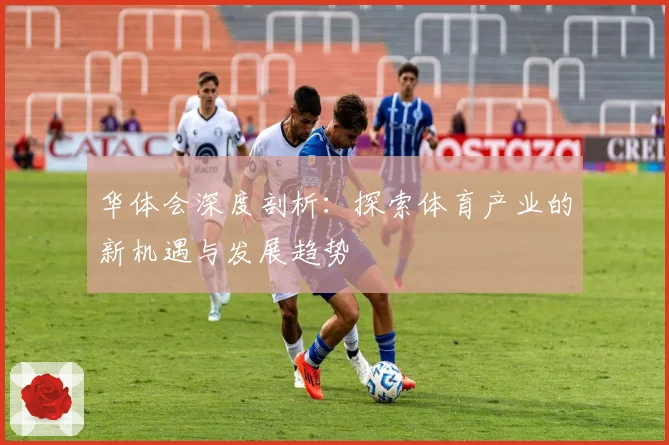 华体会深度剖析：探索体育产业的新机遇与发展趋势