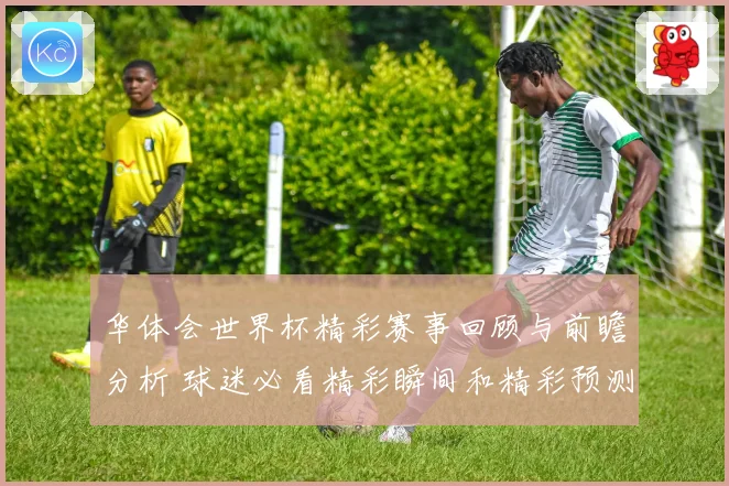 华体会世界杯精彩赛事回顾与前瞻分析 球迷必看精彩瞬间和精彩预测